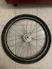 Coppia Ruote Carbonio Zipp 303 Tubeless