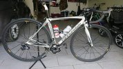 Cannindale Synapse carbon