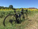 Cannondale Synapse ultegra disc womens tg 48