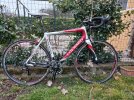 Vendo Colnago  Ace Carbon