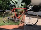 Bicicletta vintage Zarma tg 24