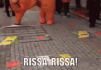 rissa-tfg.gif