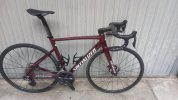 SPECIALIZED ALLEZ 2024