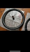 Bontrager Paradigm SL tubeless ready 21 mm