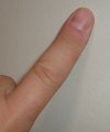 220px-Finger.agr.jpg