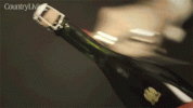 champagne-opening-champgane-bottle.gif