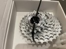 Pacco Pignoni CAMPAGNOLO Chorus 12 velocità NUOVO