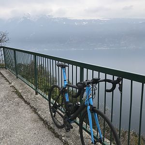 Muslone Lago di Garda