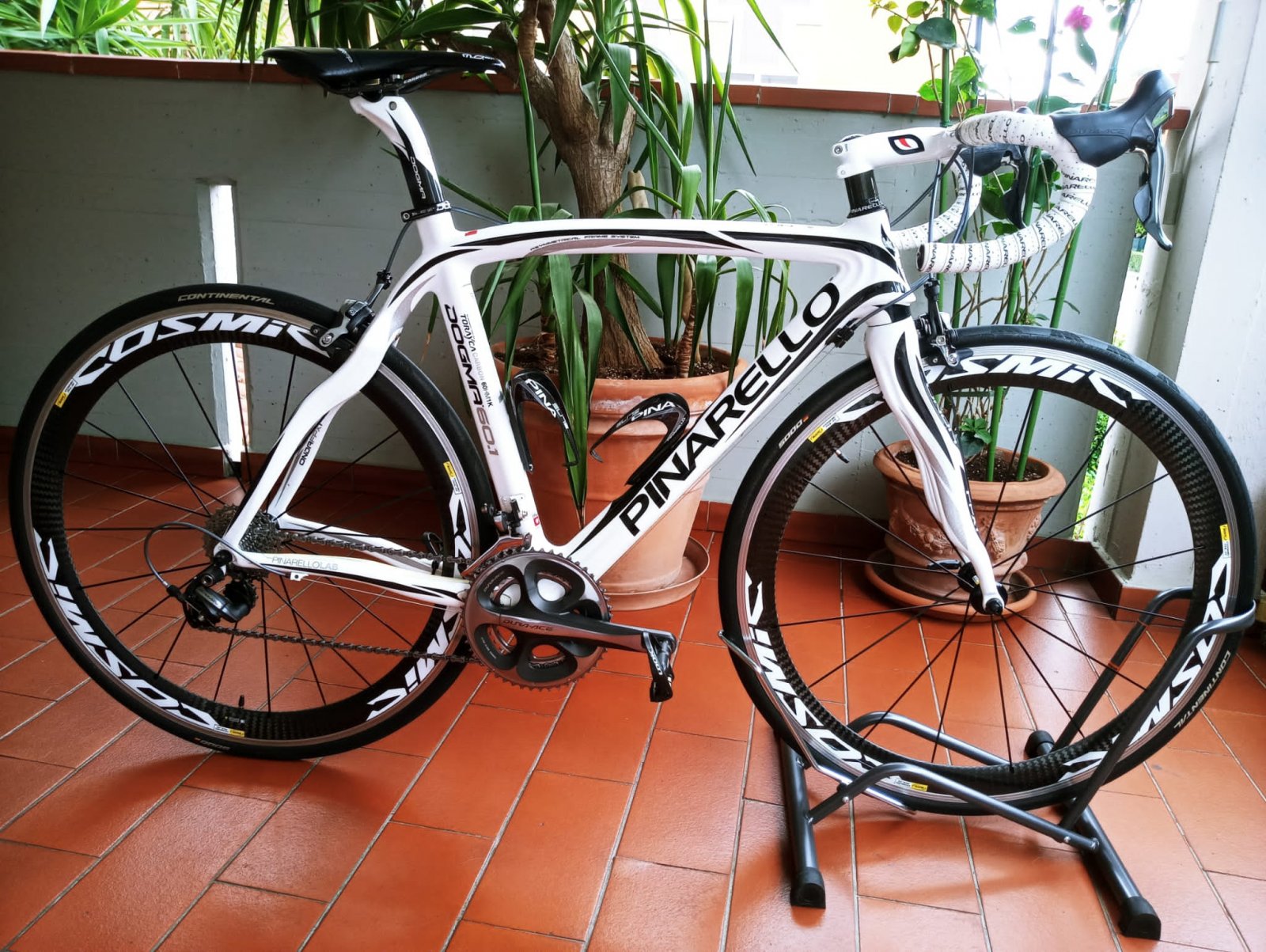 dogma 60.1