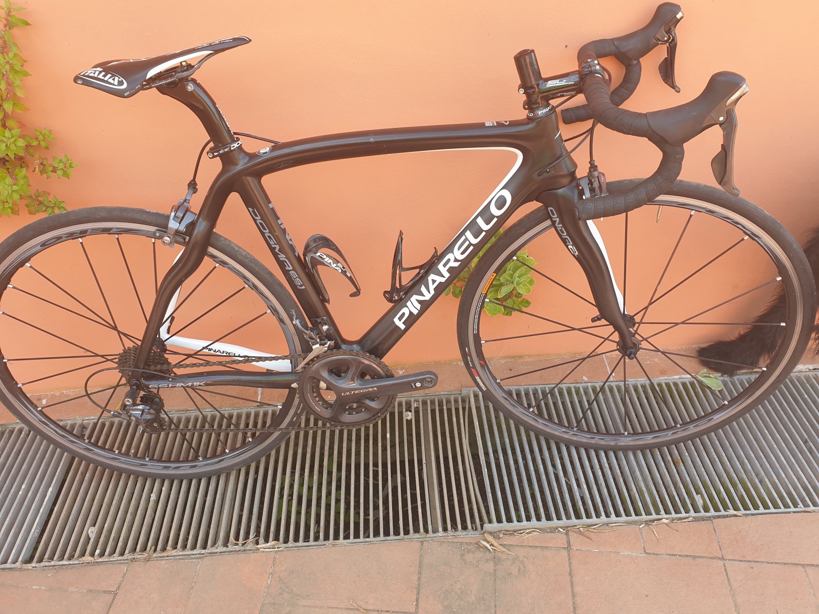 pinarello dogma 651